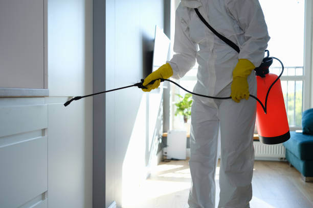 Best Certified Mold Removal  in Chenoa, IL
