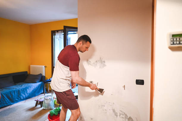 Best Mold Remediation  in Chenoa, IL